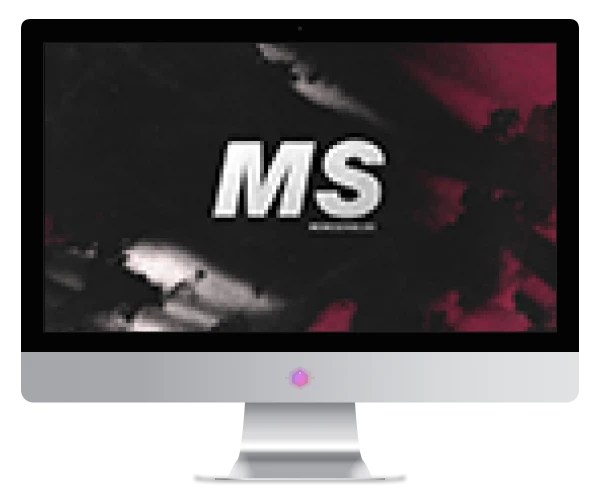MeMesense使用教程